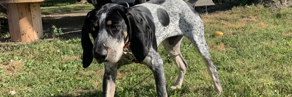 MericanJeeper Profile Banner