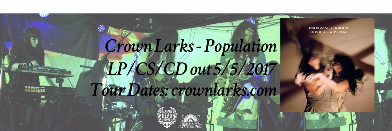 Crown Larks banner