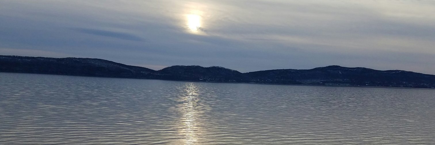 SerenaG1's profile banner image
