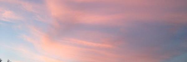 marielestella's profile banner image
