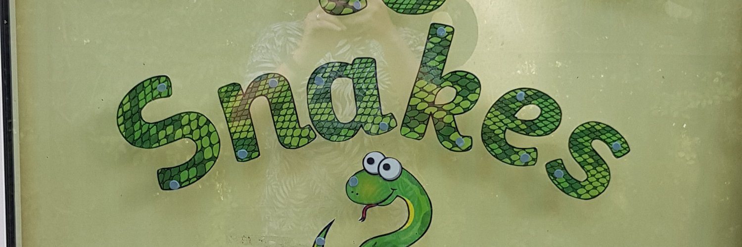 SnakesClass's profile banner image