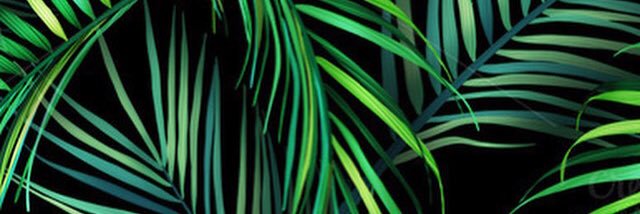 JunPinonFloral's profile banner image