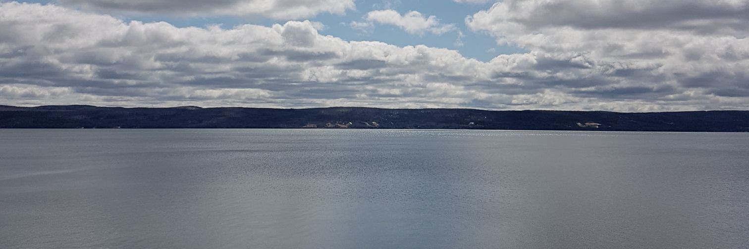 Bray_PhysEd's profile banner image