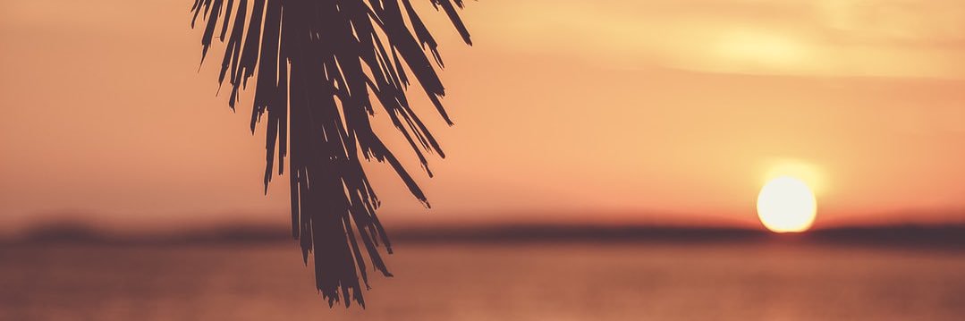 _iman_8's profile banner image