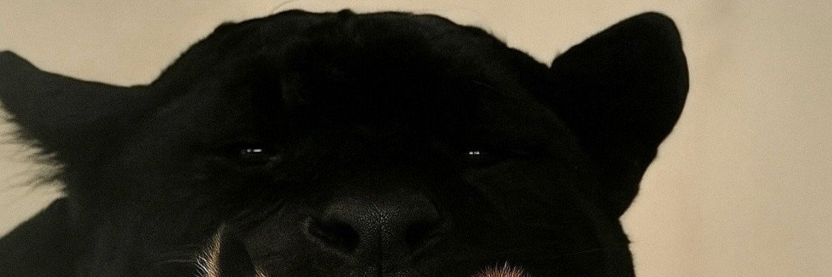 34se7n's profile banner image