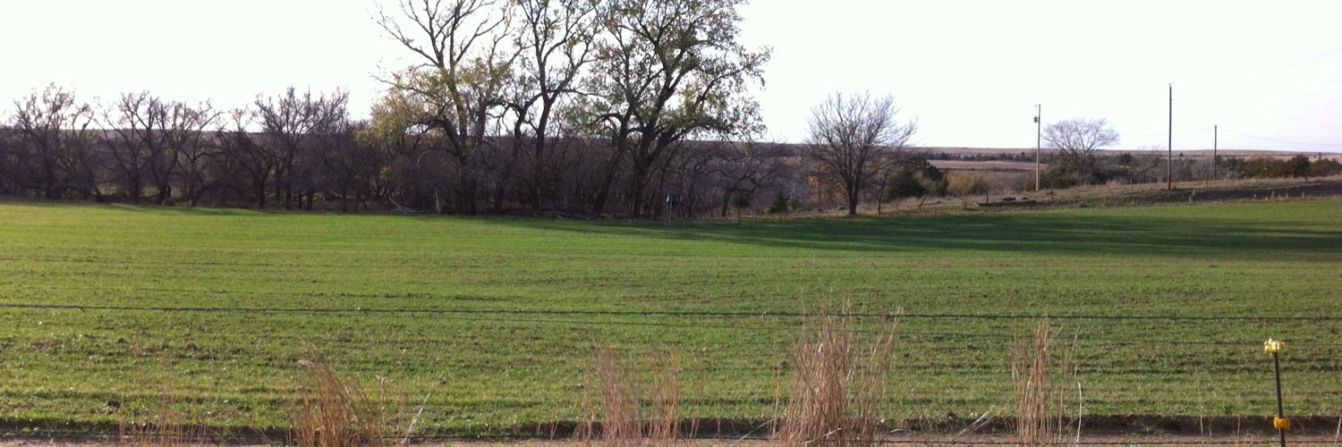 MercerRanch's profile banner image