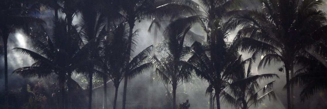 Antoine Bourgoin banner