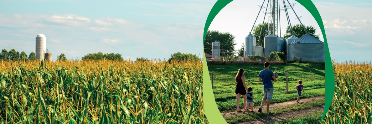 Casper Kaastra banner