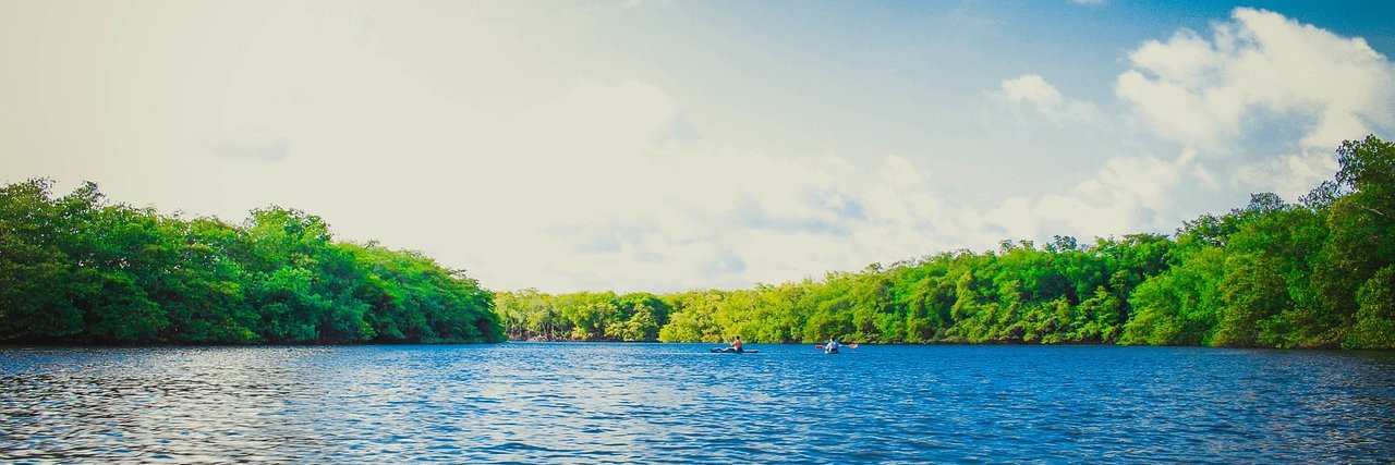 PortageDesign's profile banner image