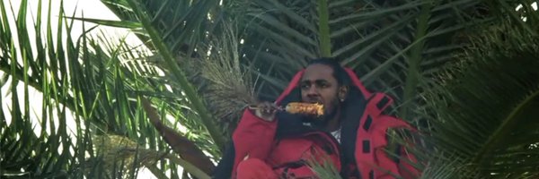 _tabitarocha Profile Banner