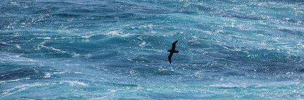 polarbiome Profile Banner