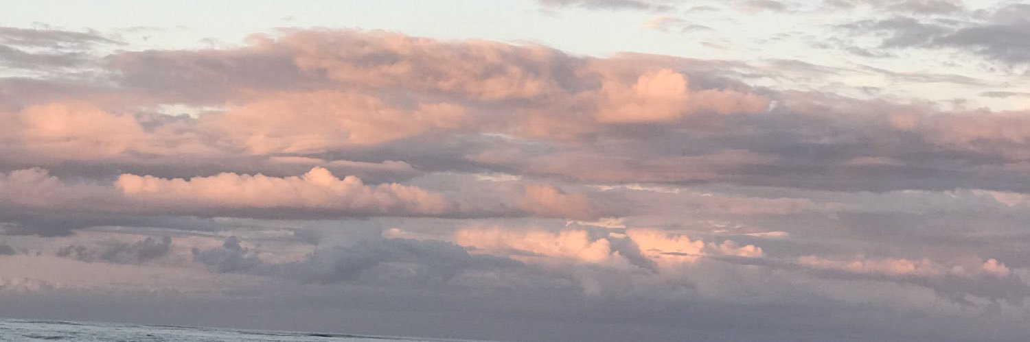 alanislho's profile banner image