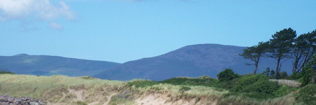 Pauline Reilly banner