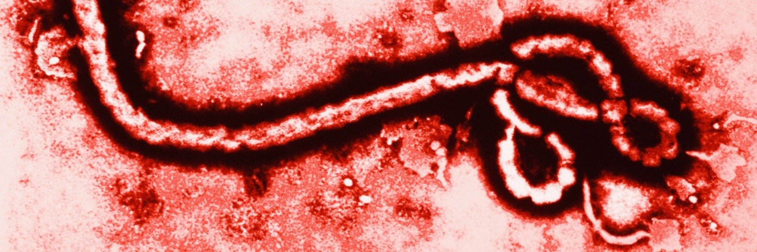 worldwideebola's profile banner image