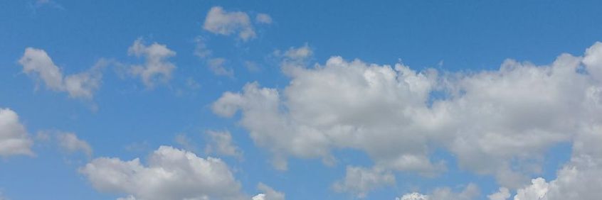 Micacape's profile banner image