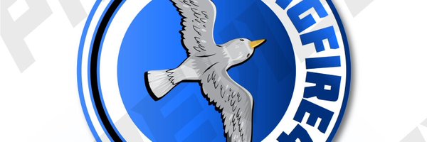 stingfire4 Profile Banner