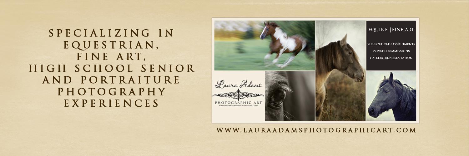 LauraAdamsPhoto's profile banner image