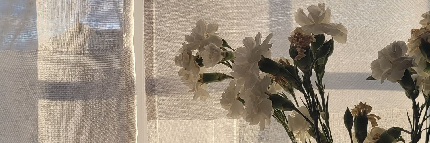 edelveiaa__'s profile banner image