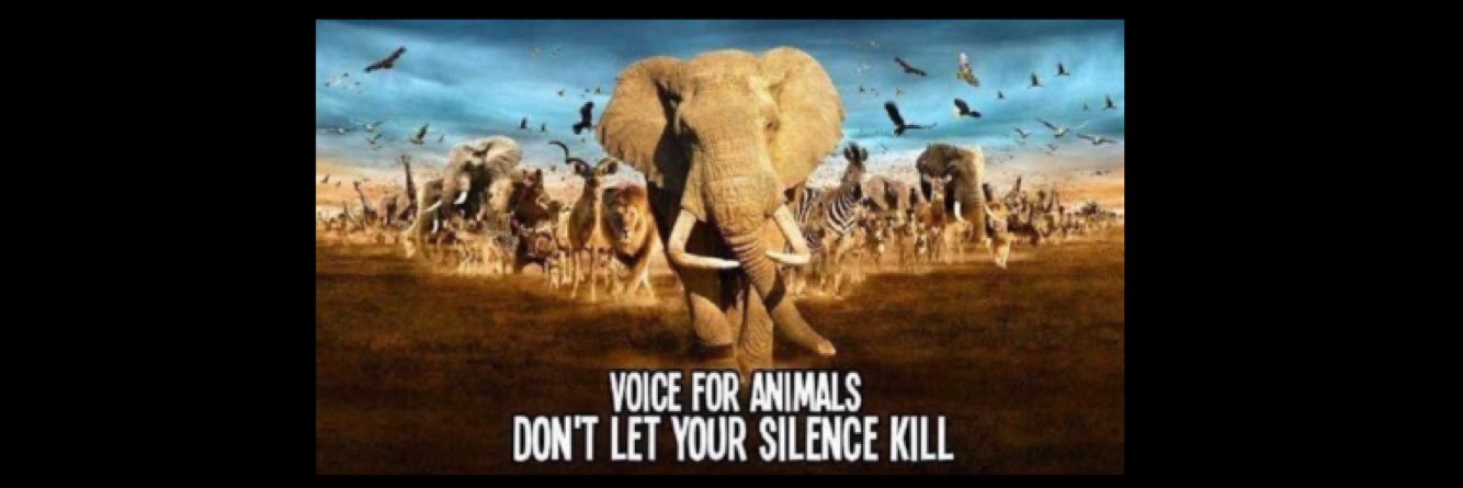 A voice for animals & our 🌎 banner