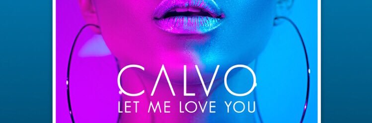 CALVO banner