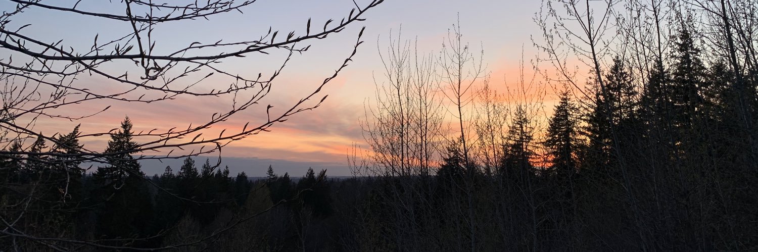 jenolulu's profile banner image