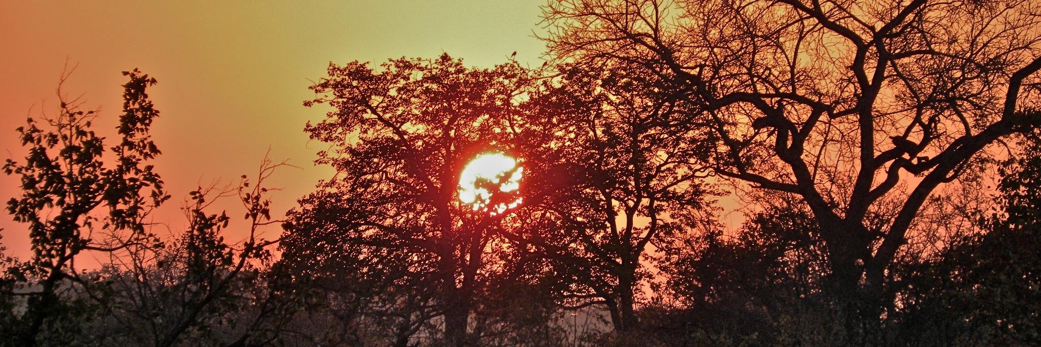 AutumnRayMusic's profile banner image