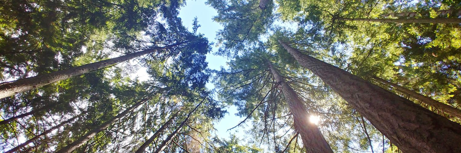 ryanajobc's profile banner image
