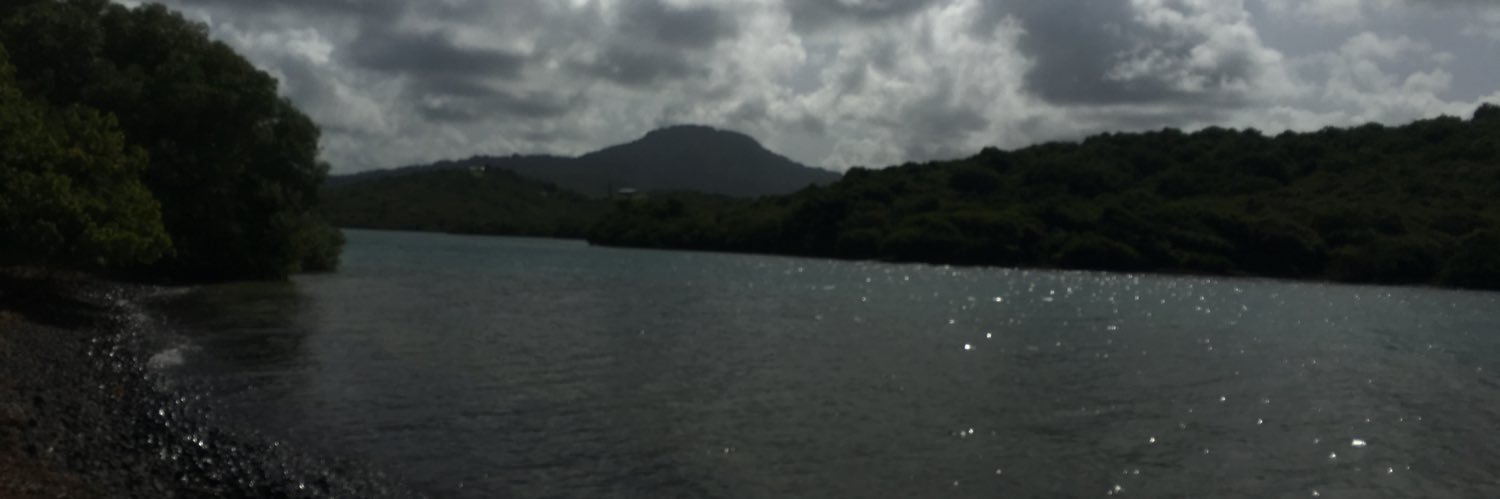 NinTennoDeMada's profile banner image