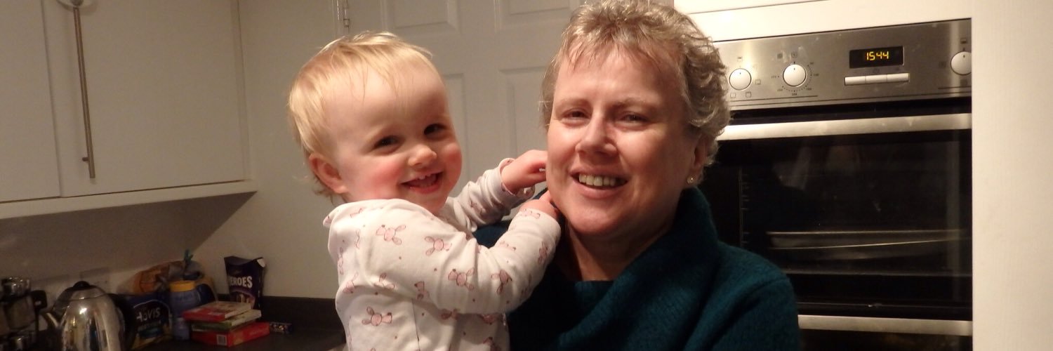 anne carlin banner