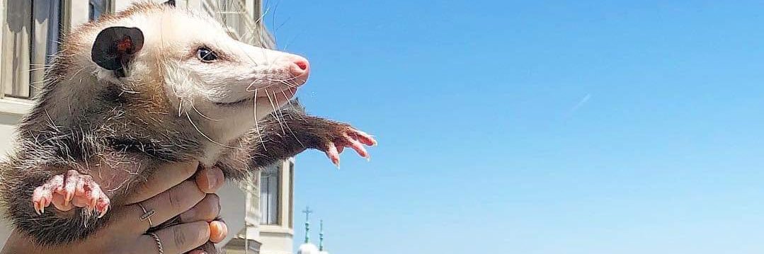 beehest's profile banner image