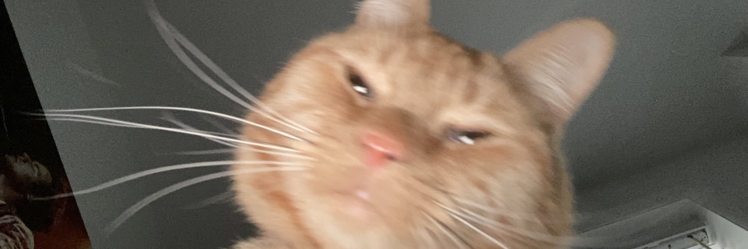 shanbeth's profile banner image