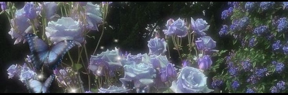 sensitivecrybbe's profile banner image