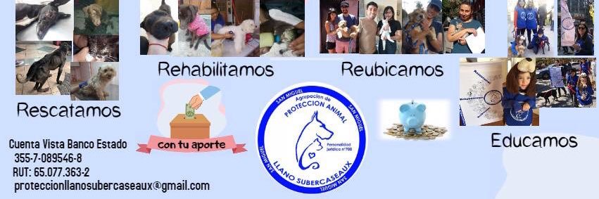 Protección Animales banner