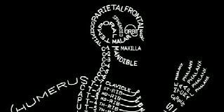 KMB_UNIMAL's profile banner image