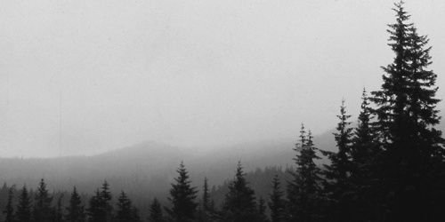 PurifiedAllure's profile banner image