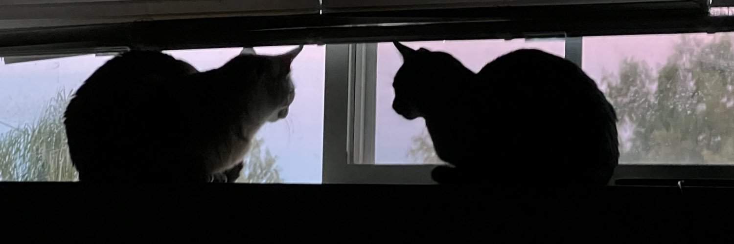 Ashbabybee's profile banner image