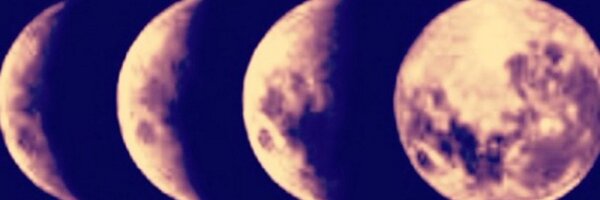 BurntHippie Profile Banner