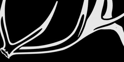 bbakerdh's profile banner image