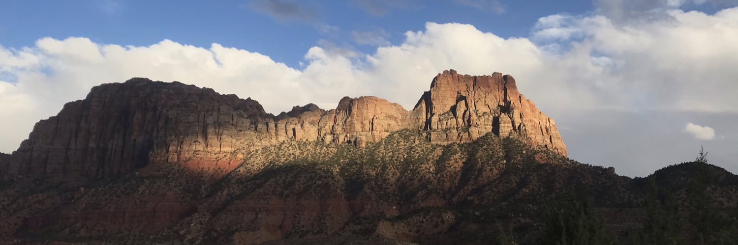 maxintheraw's profile banner image