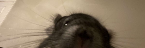 obiwanhiggins Profile Banner