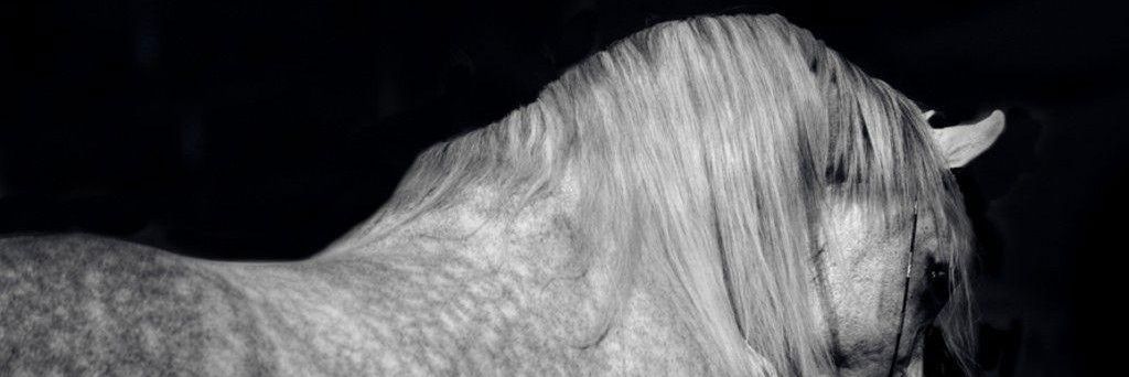 xKanderi's profile banner image