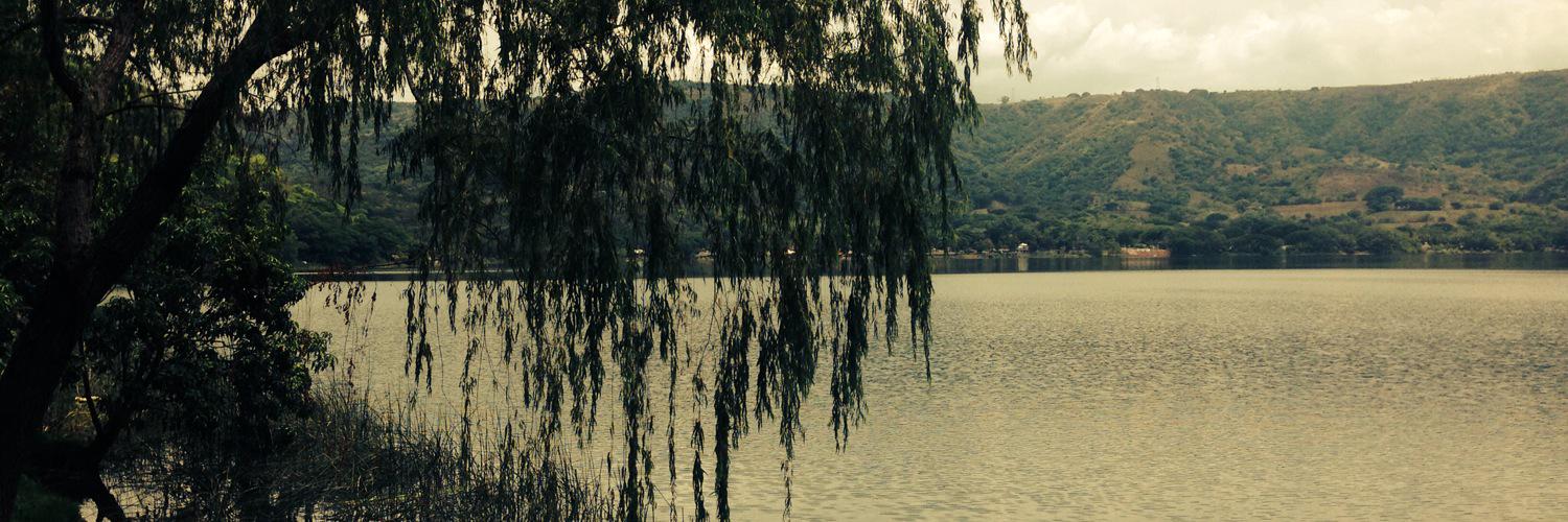 monykrl's profile banner image