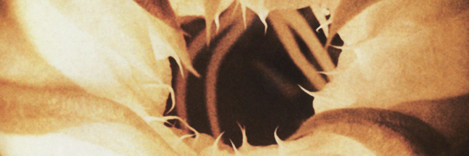 tomascorsi's profile banner image