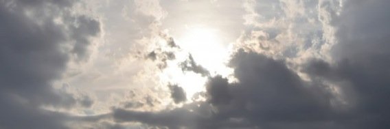 Peace Through Poetry banner