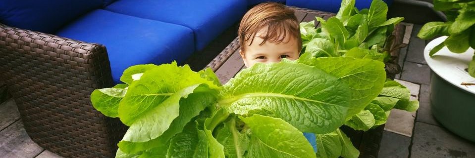 WaterMeGreen's profile banner image