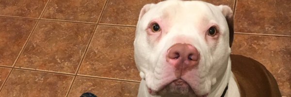 BillyFocus Profile Banner