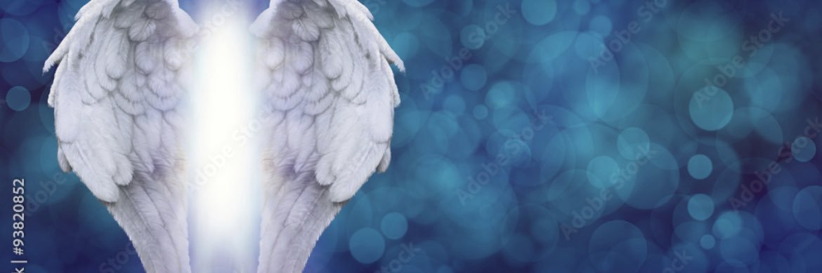SandyMcn's profile banner image