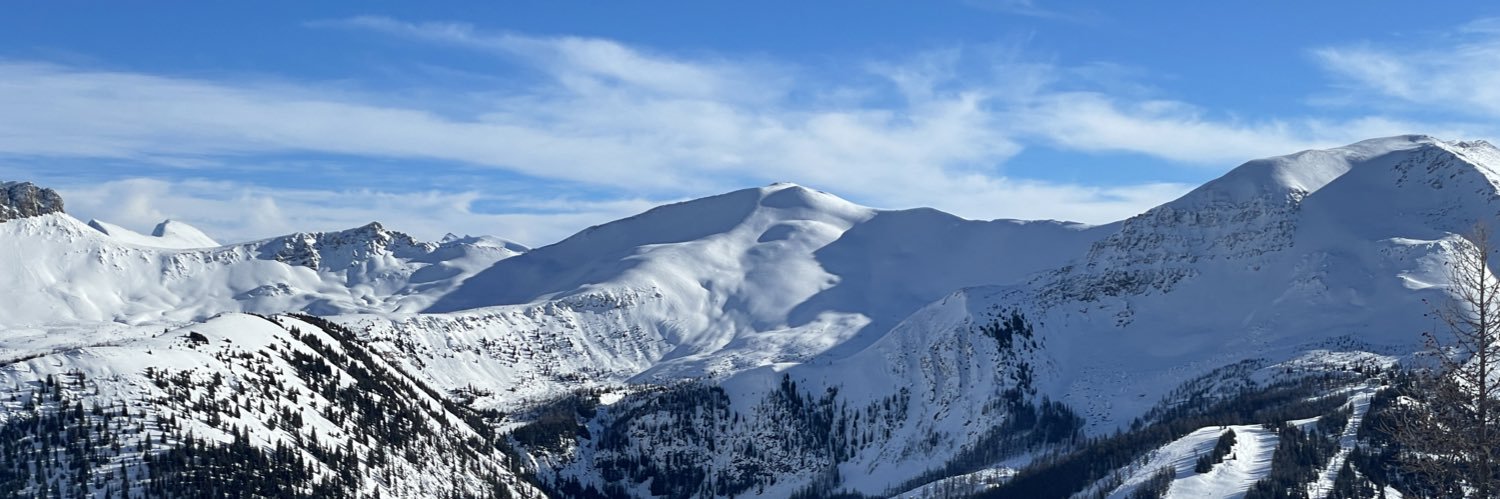 cameronwhitlock's profile banner image