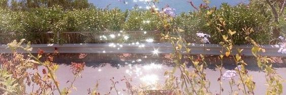 ri_bianchini's profile banner image