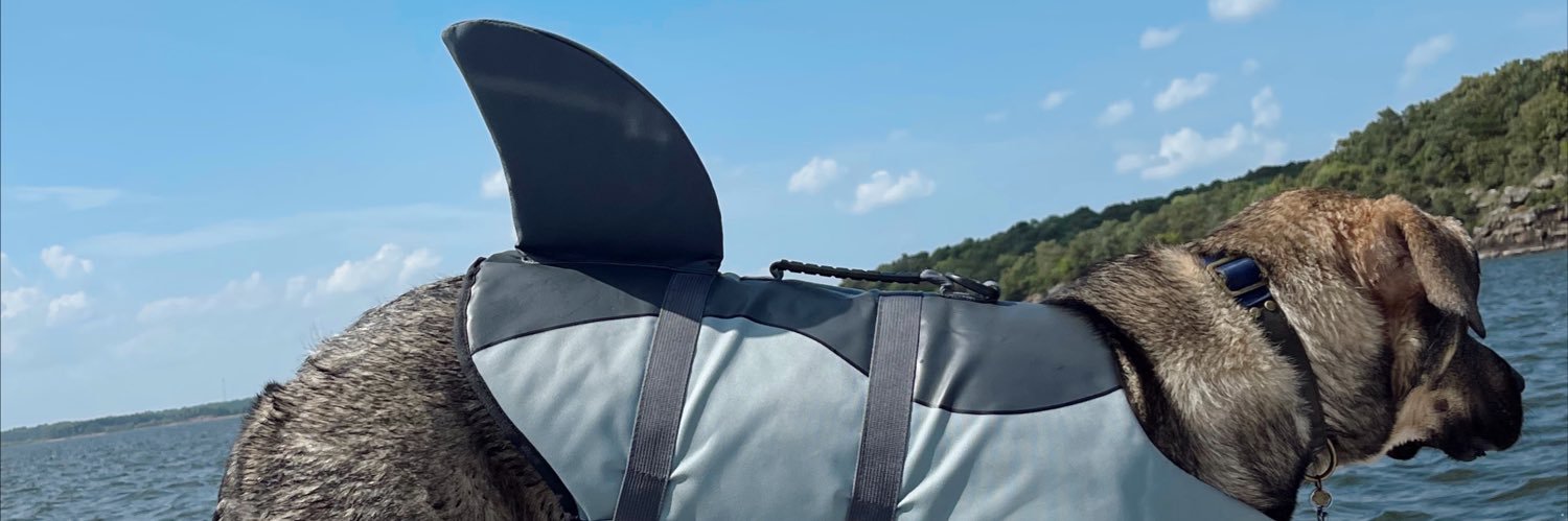 rachbobb's profile banner image